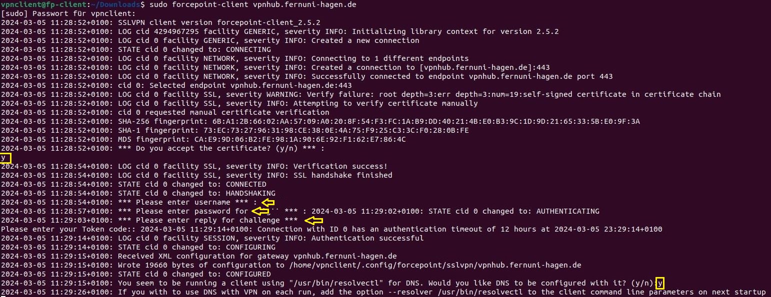 Fpvpnclient-linux-connect-dns.jpg