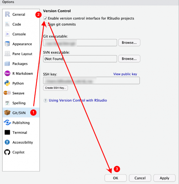 Datei:Disable git versioncontrol rstudio.png