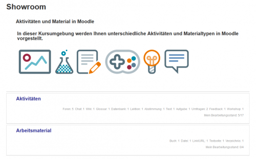 Screenshot einer Lernumgebung mit Themenformat