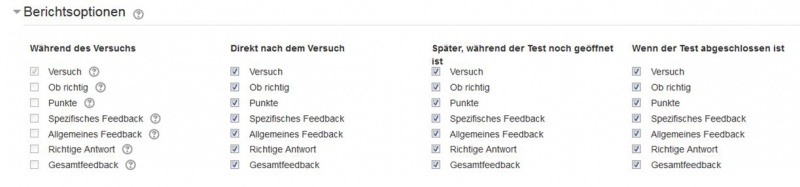Datei:Test berichtsoptionen.jpg