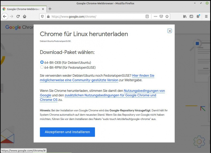 Datei:Chrome flash02.jpg